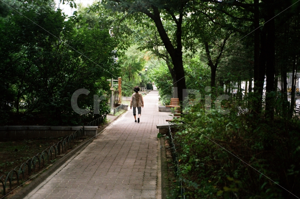 공원,노인,산책,나무,길,자연,풍경,nature,landscape,식물,plants,나무,trees,wood,사람,인물,인간,human,person,여성,여자,woman,female,lady,고독함,외로움,쓸쓸함,우울함,슬픔,lonely,solitary