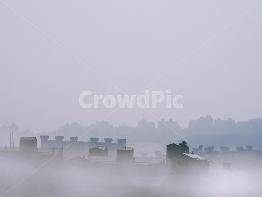 겨울아침,겨울안개,눈내린후,눈내린풍경,설경,자연,날씨,겨울,계절,winter,season