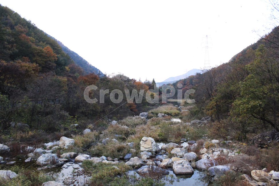 가을,단풍,풍경,산맥,산,등산,등산로,다채로운,낙엽,주황색,초록색,나무