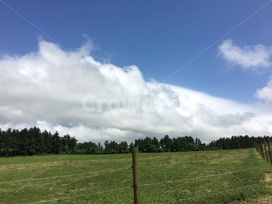 제주도,제주,nature,outdoors,weather,grassland,목초지,날씨,field,구름,들,들판,하늘,jejuisland,jeju,목장,제주도목장,자연,풍경,나무,잔디,식물,tree,한국자연풍경,한국자연경관,한국풍경