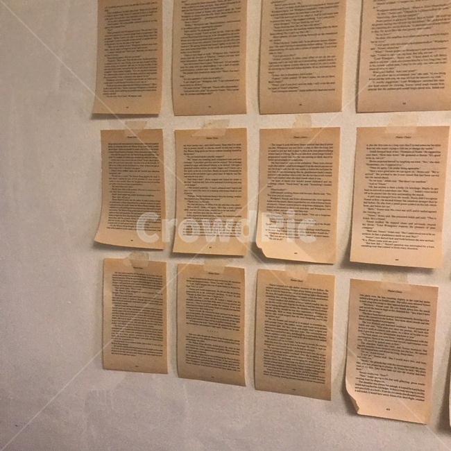 배경화면,인테리어,페이지,text,page