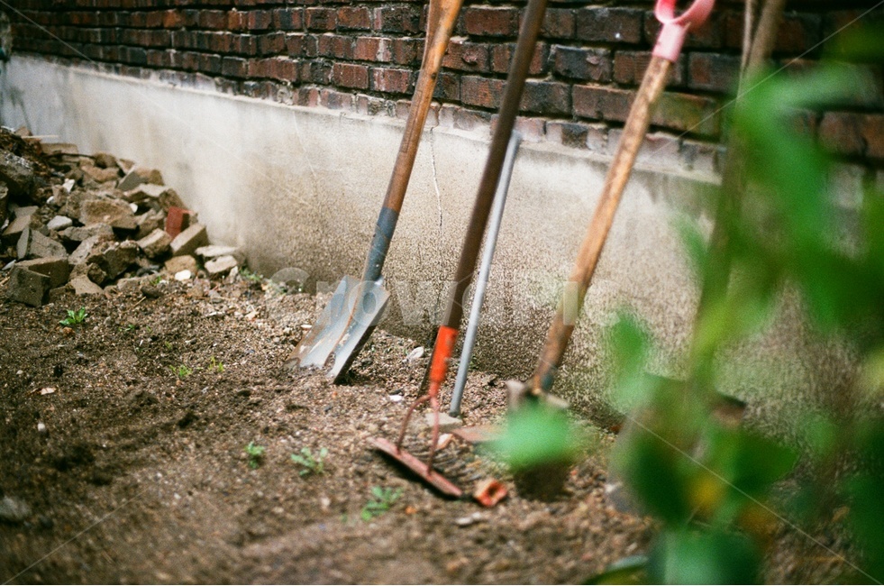 텃밭,흙,자연,봄,삽,필름사진,감성사진,풀,잎,spring,soil,nature,film,sensitive,leaf,plant,산업,industry,industrial,농업,농사,agriculture,farming,farming industry,사물,물건,오브젝트,thing,object,matter