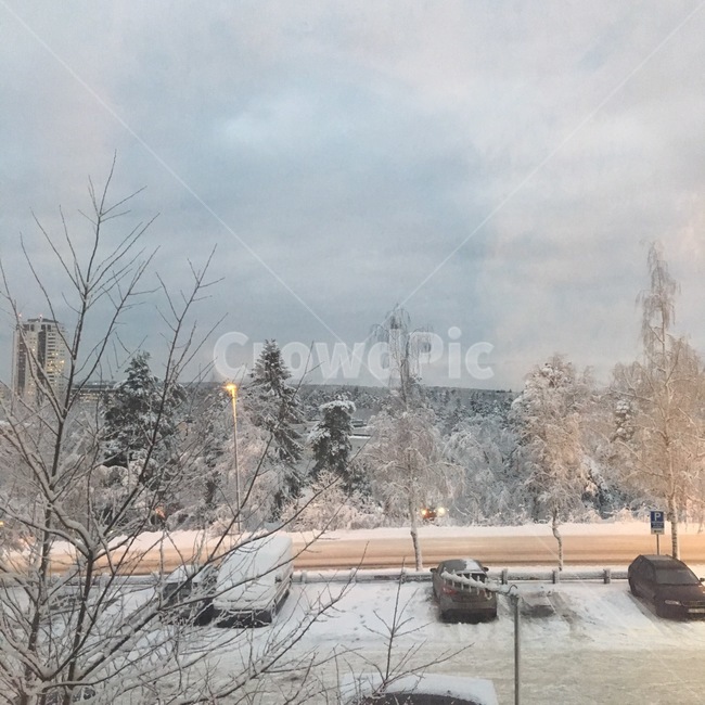 눈,겨울,창밖,포근함,스웨덴,스톡홀름,winter,snowy,아침,새벽,하늘,자연
