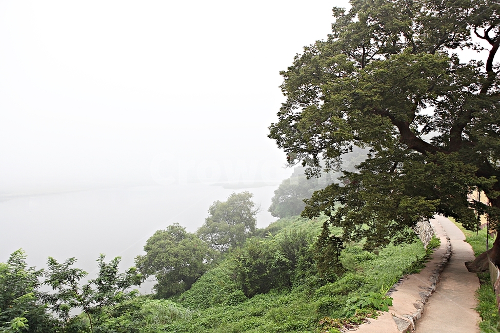 공주산성,성,성곽,산성,길,둘레길,숲,숲길,안개,돌담,담,여름,풍경,벽,방어벽,나무,식물,유네스코등제