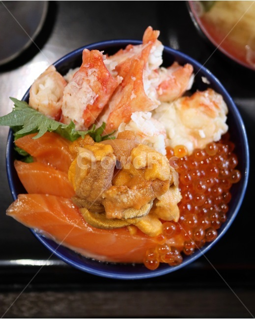 카이센동,해물덮밥,food,연어,연여알,성게알,덮밥,일본음식,japan,음식,식재료,요리,food,cook,meal,dishes,food reserves,일식,일본음식,일본요리,Japanese food,Japanese dishes,Japanese meal,Japanese cook