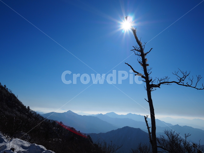 산,나무,하늘,태양,덕유산,무주,겨울,계절,winter,season,자연,풍경,nature,landscape,한국자연풍경,한국자연경관,korea nature landscape,light,빛,flare,플레어