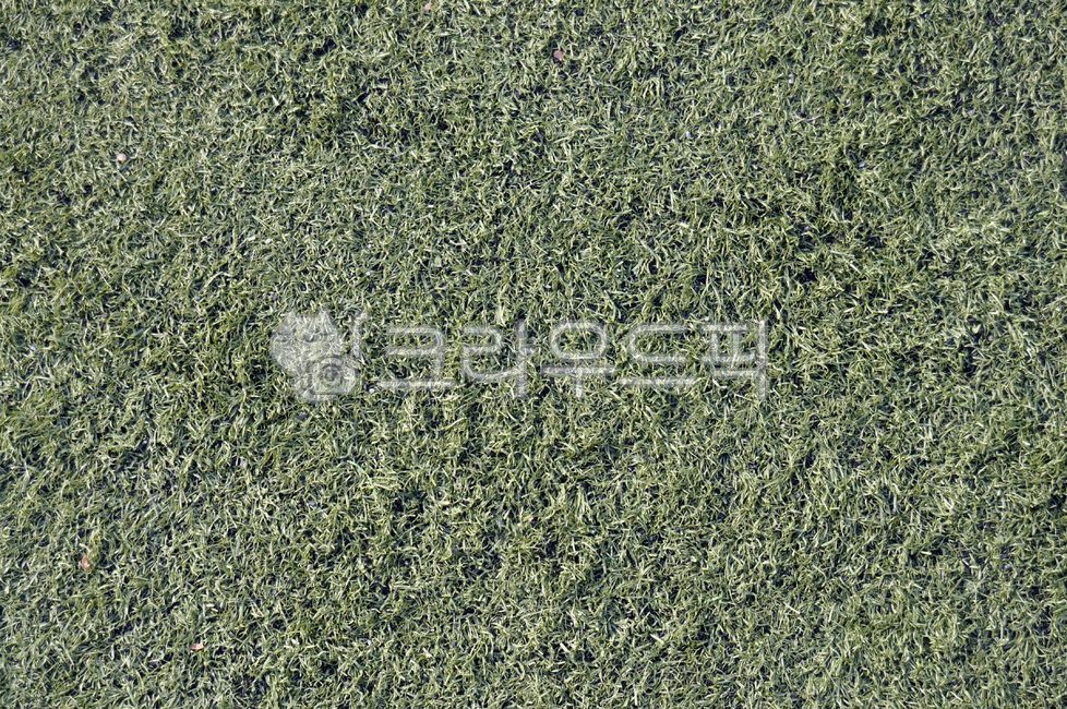 바닥,운동장,인조잔디,운동장바닥,축구장,풋살장바닥,축구장바닥,축구장인조잔디