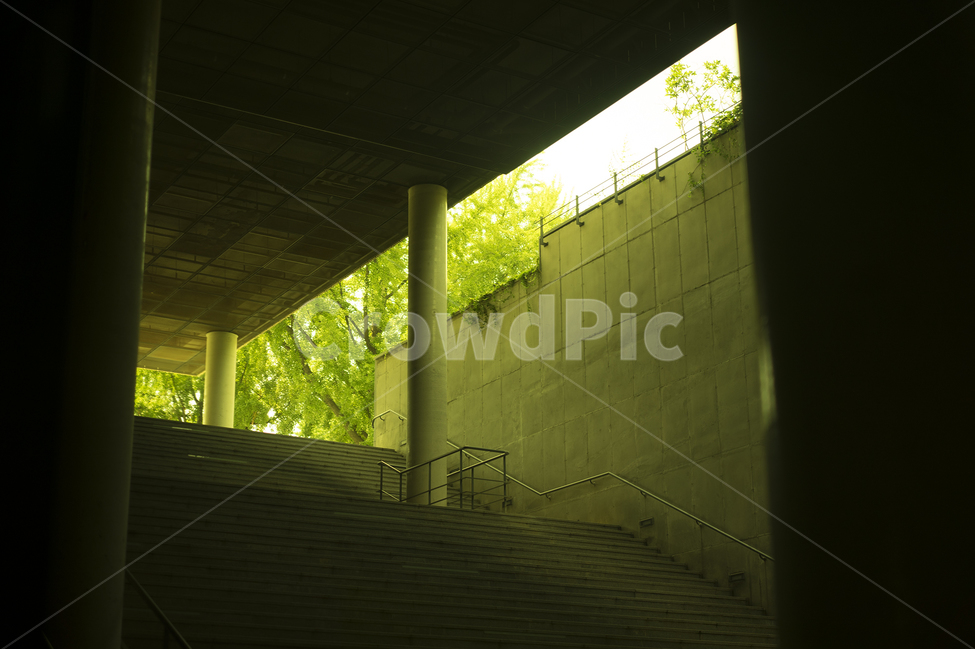 계단,여름,미술관,기둥,입구,건축물,건물외관,exterior,building,structure,architecture,construction