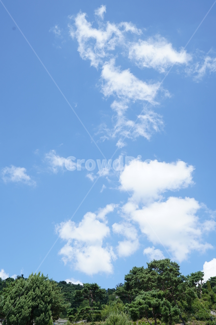하늘,공원,푸른,파란,구름,자연,풍경,nature,landscape,outdoors,옥외,sky,azure sky,푸른 하늘