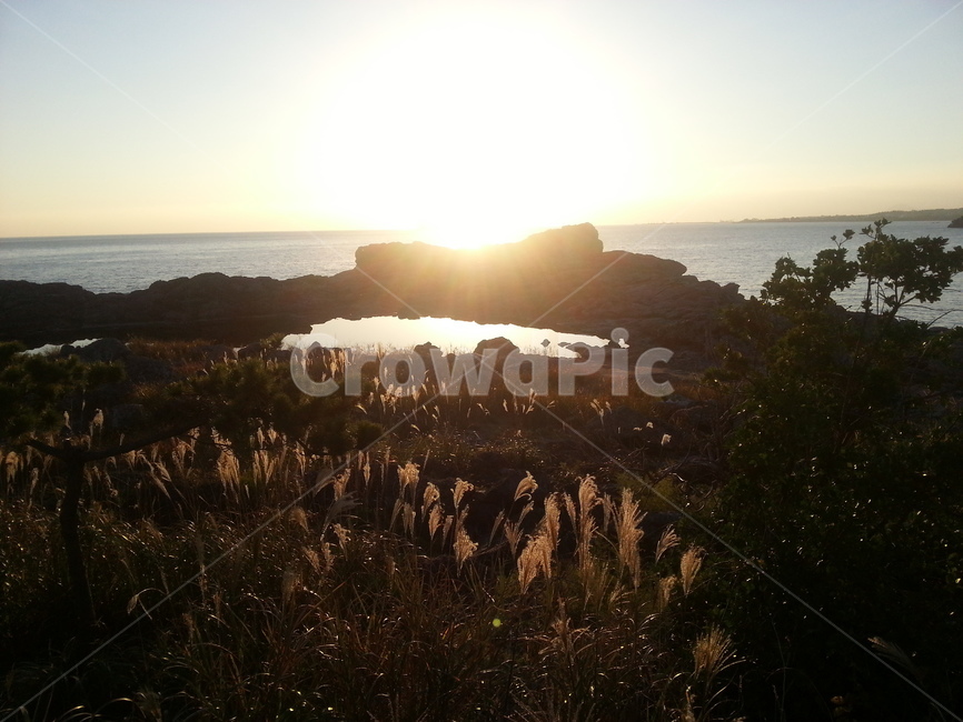 자연,햇빛,노을,sunset,nature,sunlight,빛,light