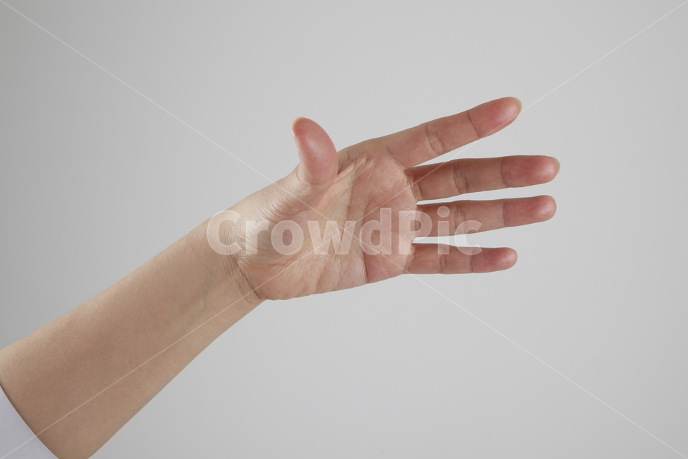 손,핑거,손가락,손모양,여러가지손모양,손포즈,손가락포즈,사람,인물,인간,human,person,신체일부,몸,body,손,제스처,표시,손짓,표현,gesture,hand,sign,expression