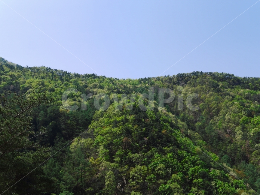 산,풍경,여름,풍경사진,감성,사진,자연,풍경,nature,landscape,outdoors,옥외
