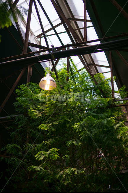 실내,인테리어,조명,식물,창문,천장,공간,인테리어,실내디자인,interior design