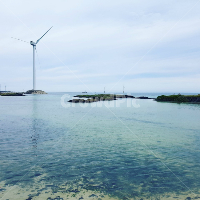 바다,해안가,해변,바람,제주도