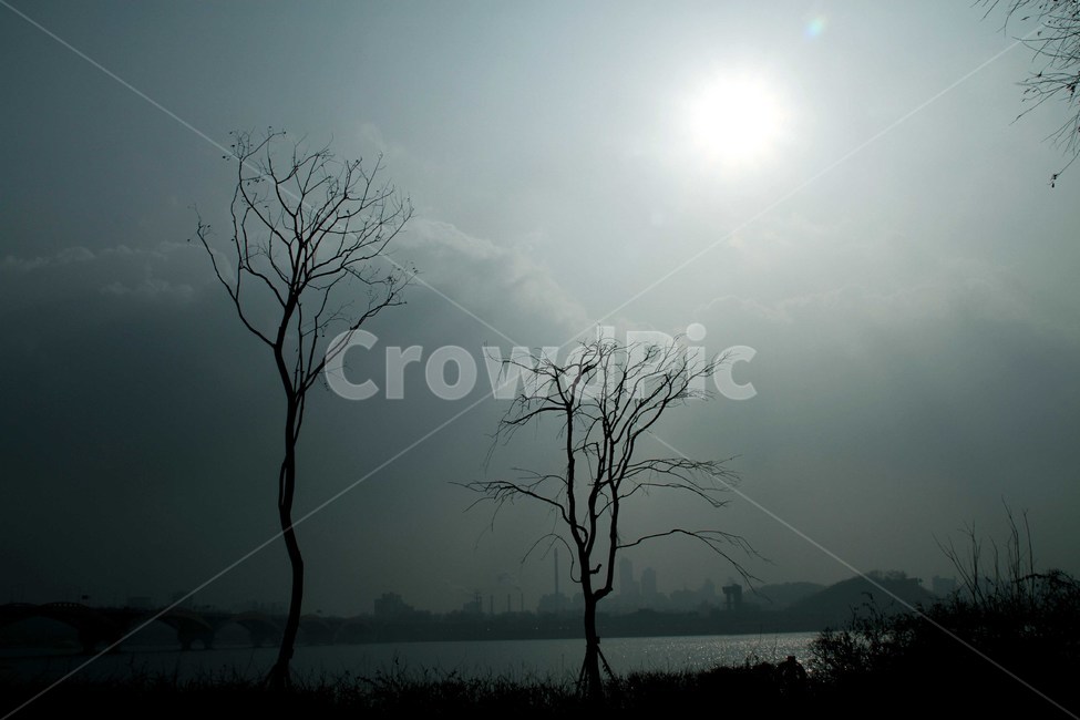 서울,한강,스모그,하늘,사진,겨울,계절,winter,season,식물,자연,plants,nature,나무,trees,wood