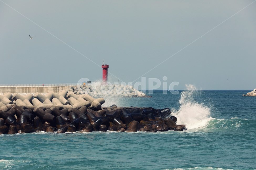 등대,바다,방파제,파도,자연,등대,lighthouse