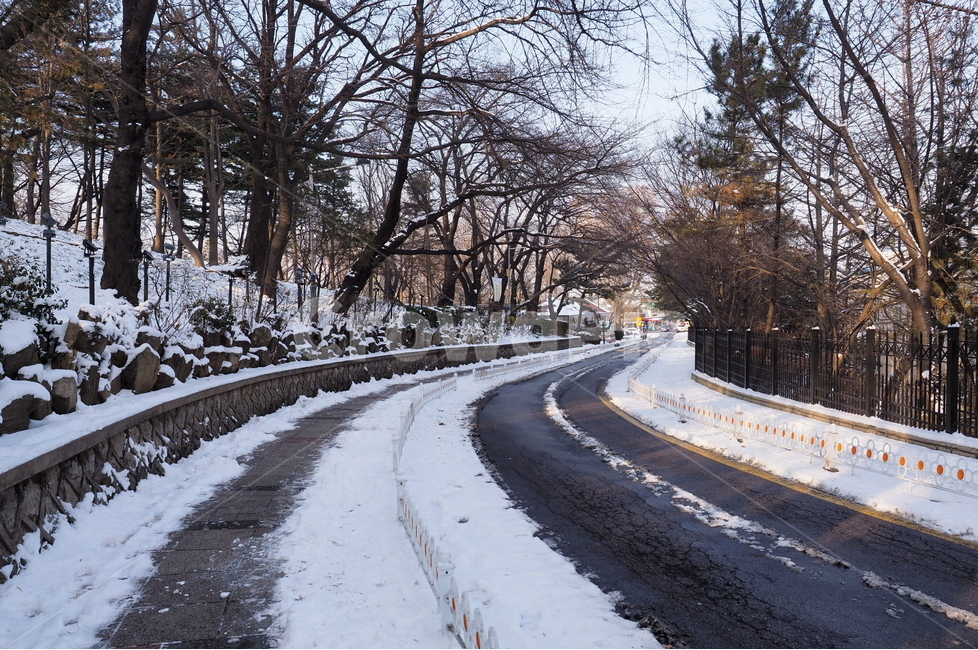 겨울,winter,park,눈길,road,길,겨울,계절,winter,season