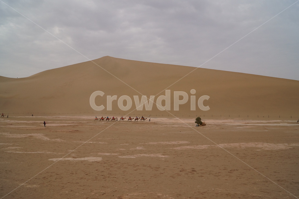 중국,사막,모래,china,desert,낙타,아시아,sand,asia,자연,풍경,nature,landscape,해외,외국,세계,foreign,oversea,world,세계자연풍경,해외자연풍경,외국자연풍경,world nature landscape,soil,흙,outdoors,옥외,dune,모래 언덕