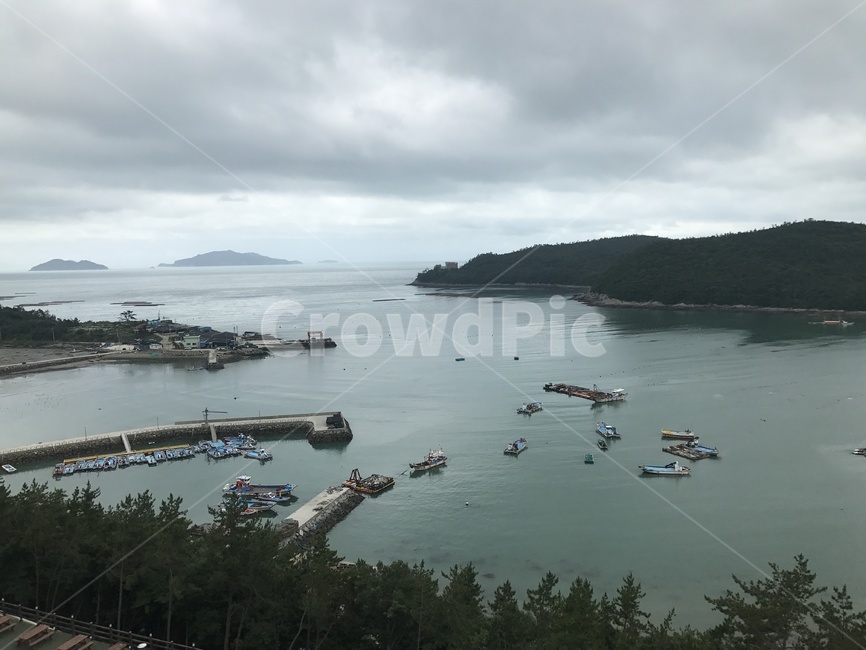 water,물,nature,자연,land,outdoors,옥외,shoreline,해안선,ocean,대양,sea,바다,완도
