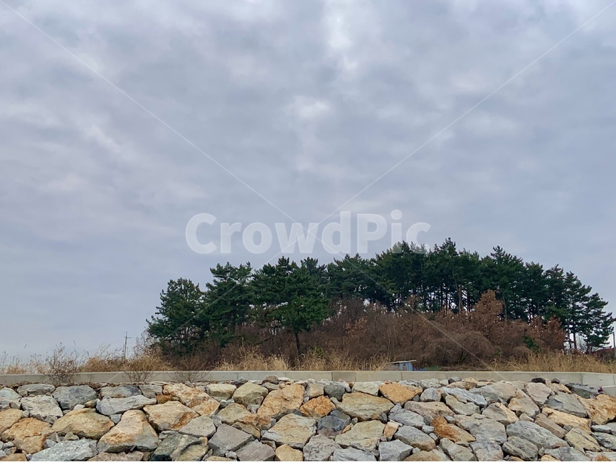 하늘,나무,sky,tree,돌