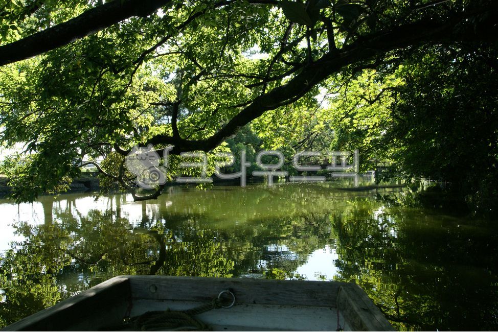 후쿠오카,야나가와,뱃놀이,일본,일본의베니스