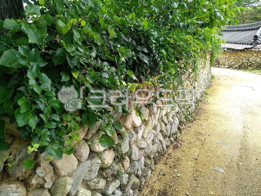 cottage,stonewall,traditional story,traditional architecture,fence