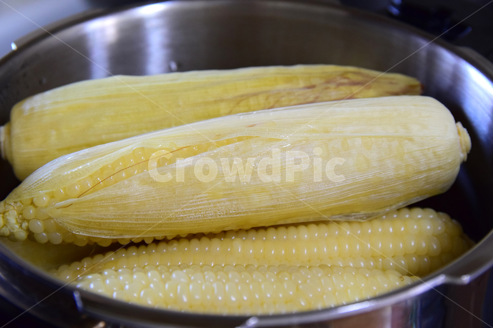 corn kernels,corner,corn husk,corn,corn leaves,steamed corn,Food Ingredients,boiled corn,corn cob husk,cone,food