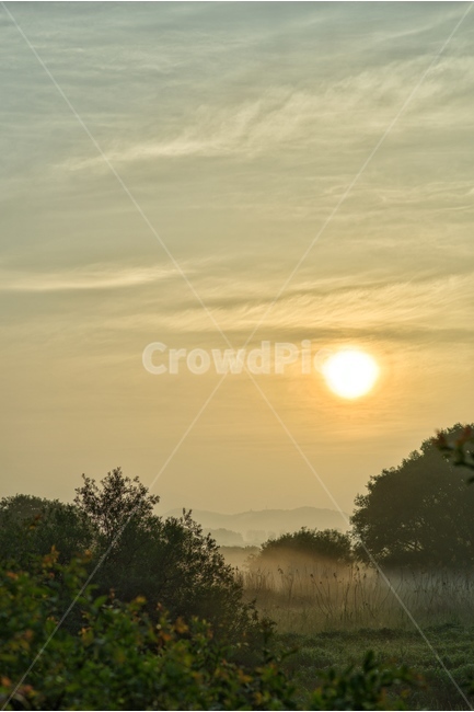 물안개,새벽,늪,일출,자연,풍경,몽환,자연,풍경,nature,landscape,outdoors,옥외