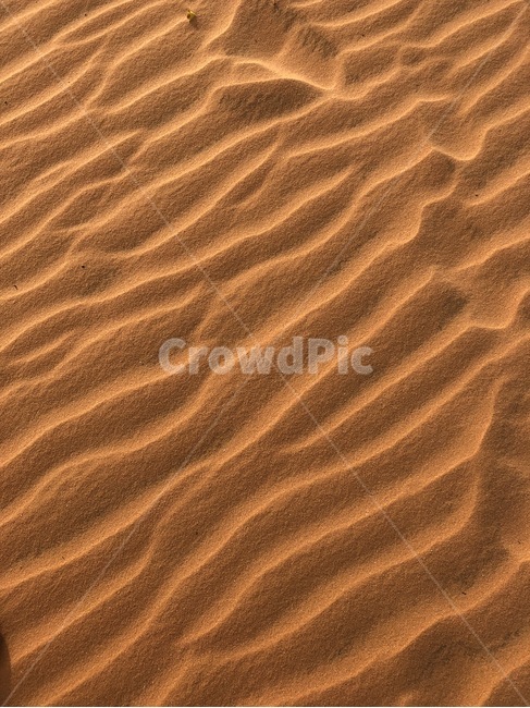 soil,흙,sand,모래,nature,자연,outdoors,모래언덕,사막,풍경,해변,바다,beach,sea,텍스처,질감,패턴,texture,pattern
