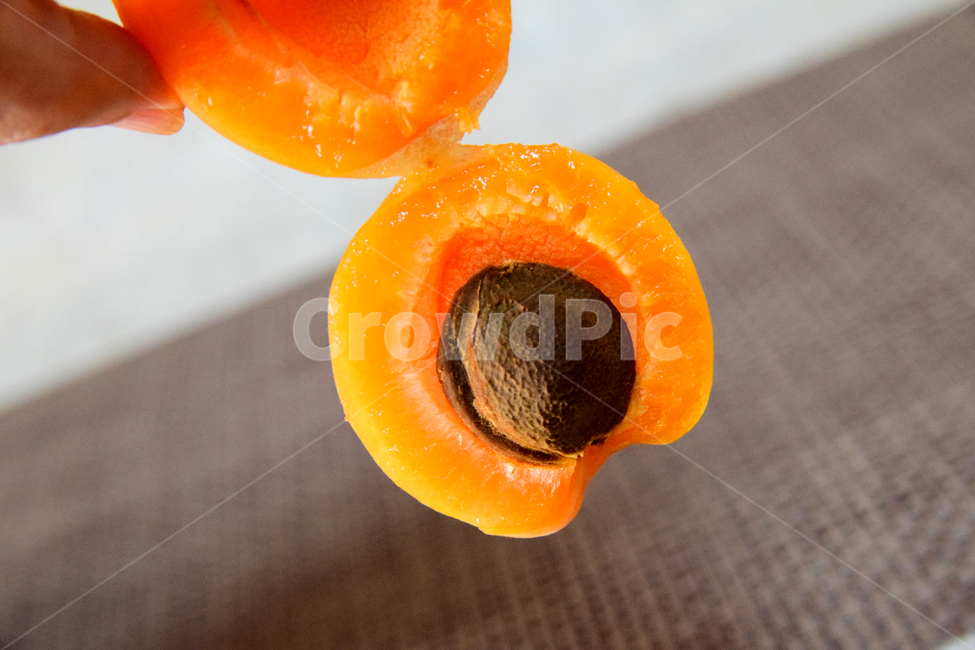 살구,살구씨,과일,과실,열매,식품,apricot,fruit,음식,식재료,음식재료,음식,식재료,요리,food,cook,meal,dishes,food reserves,과일,열매,fruit