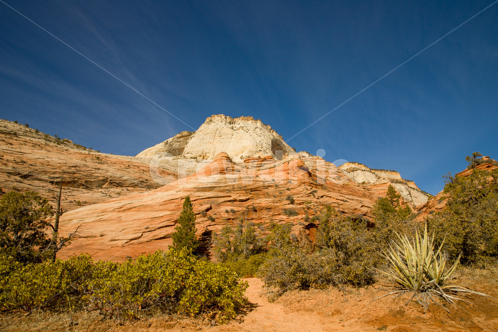 zioncanyon,national,utah,plateau,erosion,sandstone,scenery,arid,beautiful,blue,canyon,cliff,desert,geology,hiking,hill,landscape,mountain,natural,nature,nevadadesert,outdoor,park,red,rock,sand,scenic,sky,stone,summer,tourism,usa,valley,view,미국,아메리카,유타,사막,황량,자이언캐년