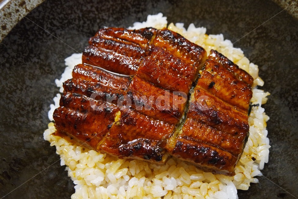장어덮밥,장어,일본음식,해산물,덮밥,음식,food,음식,식재료,요리,food,cook,meal,dishes,food reserves
