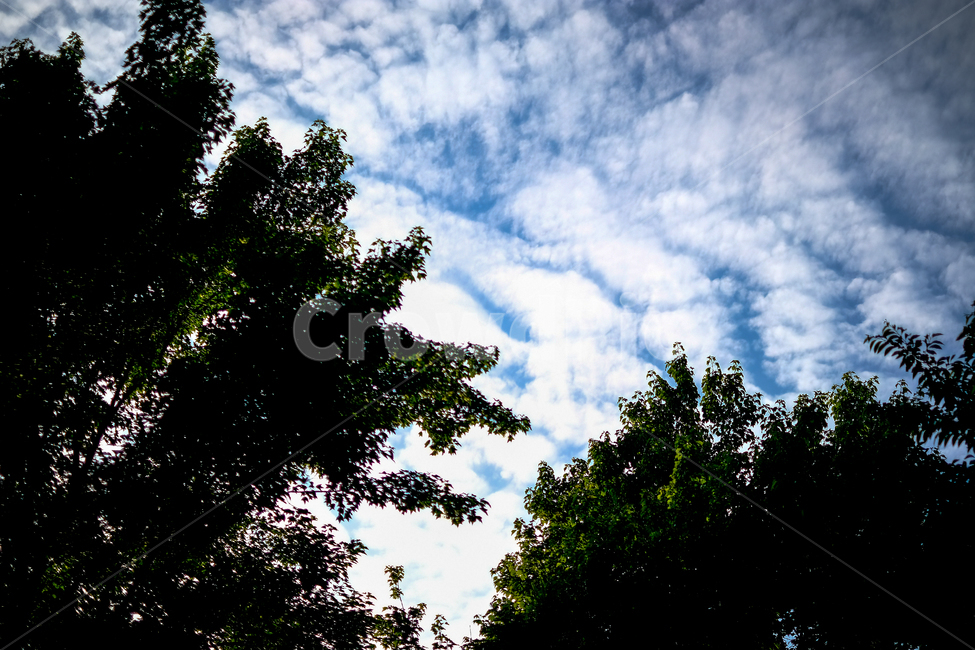 술속하늘,sky,bluesky,파란하늘,구름,자연,풍경,nature,landscape,silhouette,실루엣