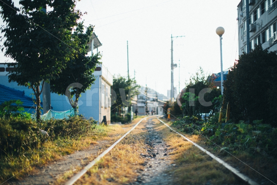 철길,감성,스냅,햇살,노을,교통,교통수단,traffic,transportation,감성,sensible,feeling,train track,기찻길,railway,철도,rail,레일,road,도로