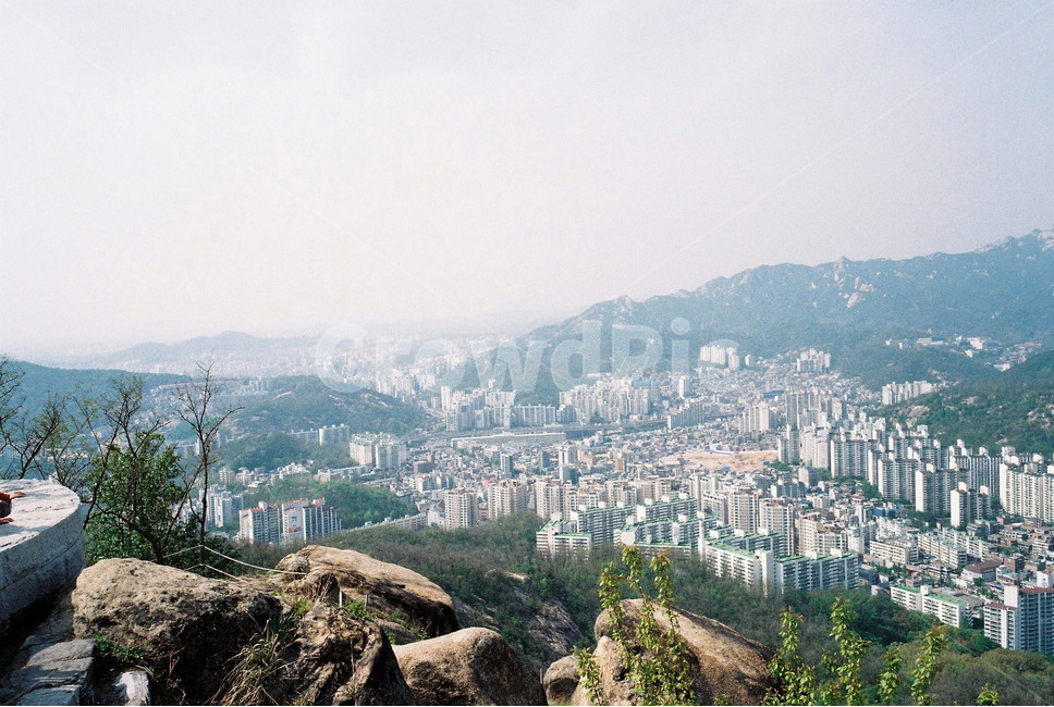 산정상,여름,자연,산,등산,도시,풍경,city,landscape,한국도시풍경,한국도시경관,korea cityscape,nature,outdoors,옥외,경치,scenery