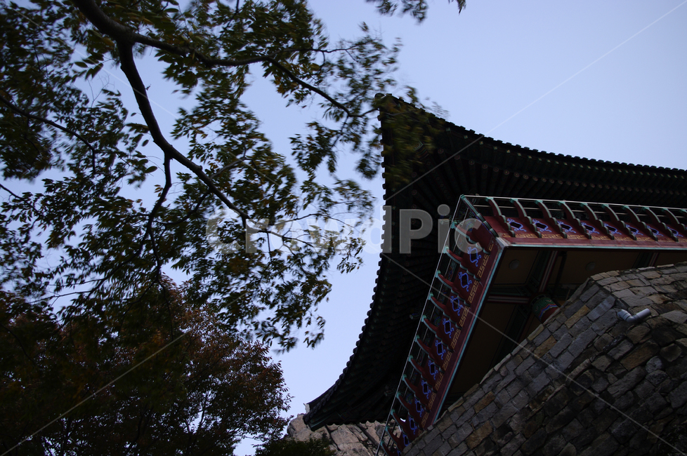 나무,전각,사찰,보리암,하늘,한국전통,한국문화,korean traditional,korean culture,건축물,건물외관,exterior,building,structure,architecture,construction