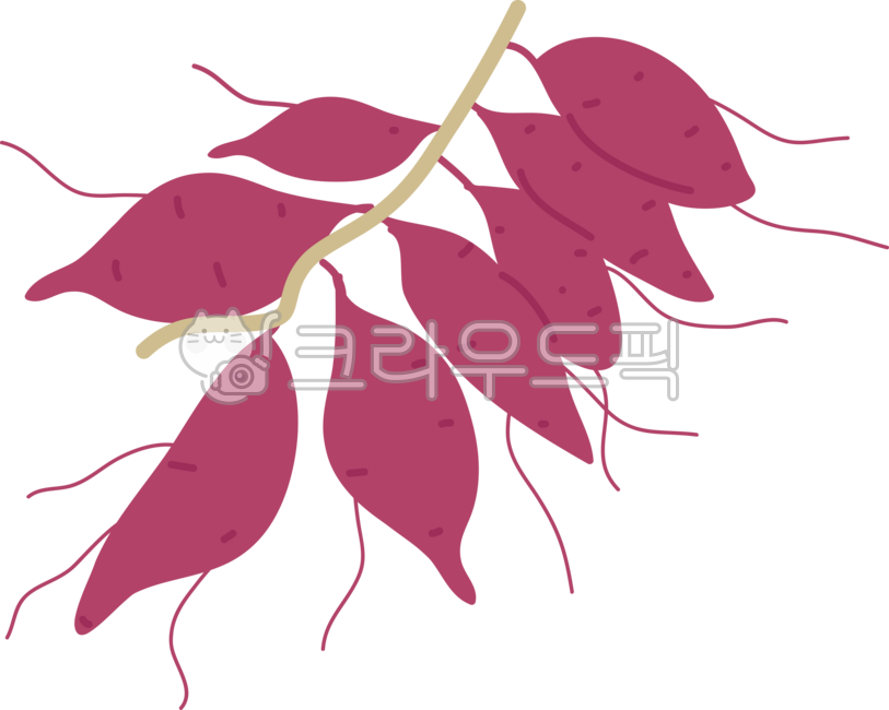 Sweet potato,sweet potato design,sweet potato harvest,purple sweet potato,root vegetable,snack,sticker,illustration,food,drawing,root,vegetable,vegetables,chestnut sweet potato,sweet potato stem,harvest,freshness,farm,organic,health foo