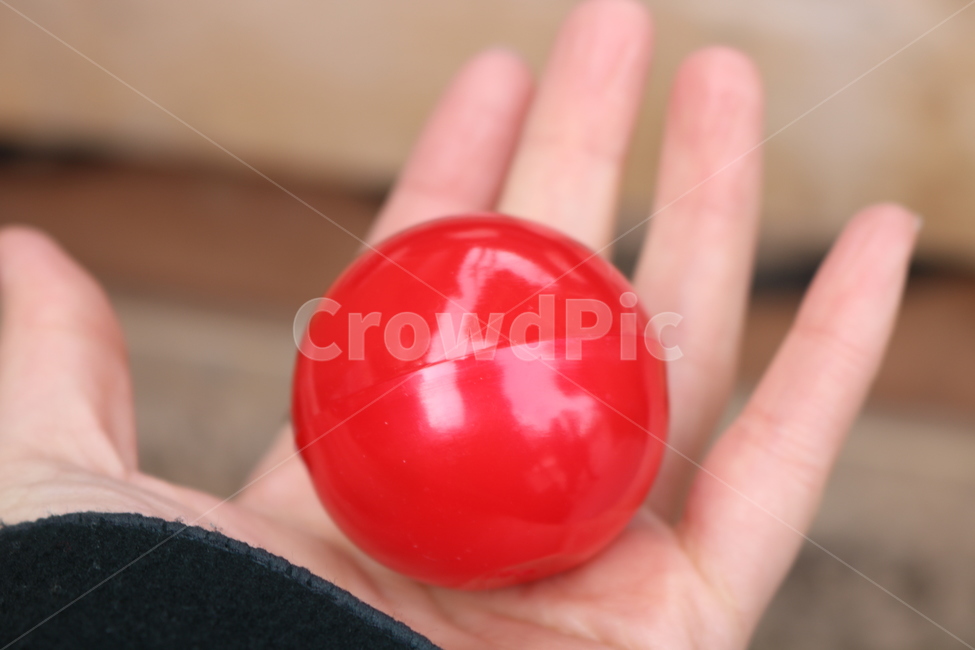 손,손바닥,공,손가락,여자손,사물,물건,오브젝트,thing,object,matter