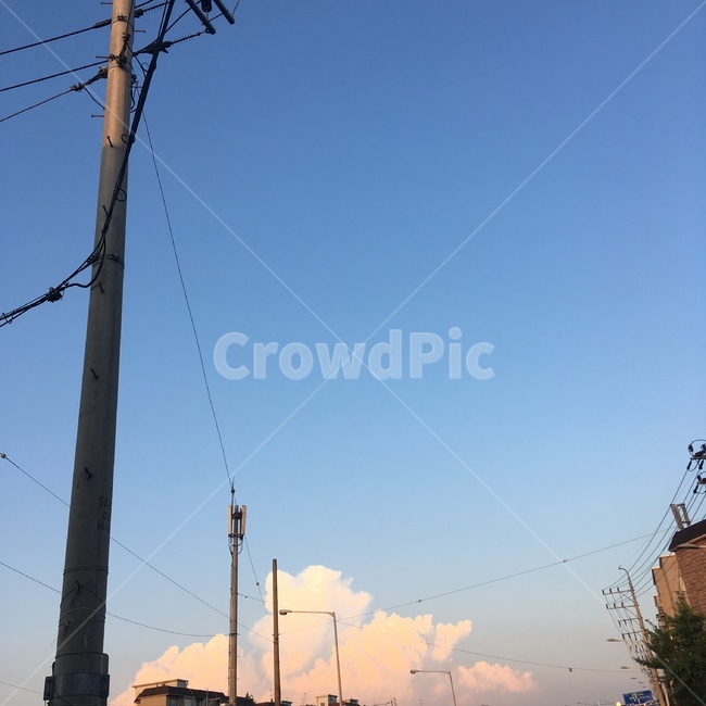 전봇대,telephonepole,구름,cloud,노을,sunset,pink,blue