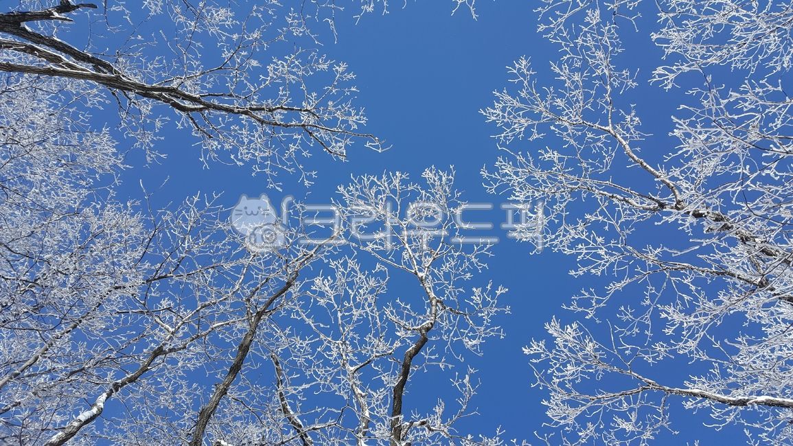 설산,눈꽃,설경겨울산,겨울하늘,설경,눈내린나무,겨울왕국