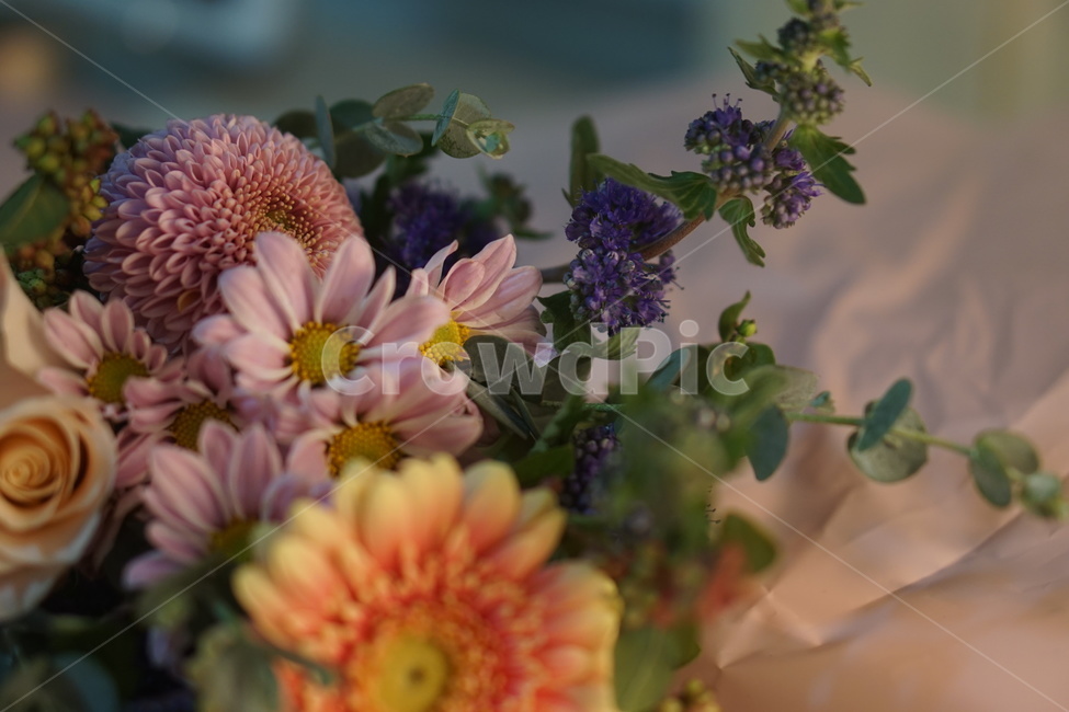 꽃,floraldesign,flowerarrangement,핸드부케,flower,blossom,식물,꽃,flower