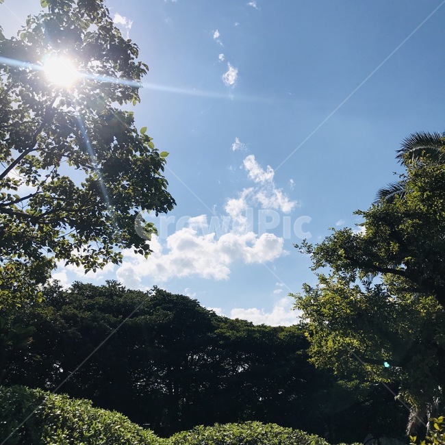 자연,햇빛,풀,구름,하늘,제주도,자연,풍경,nature,landscape,light,빛,flare,플레어,sunlight