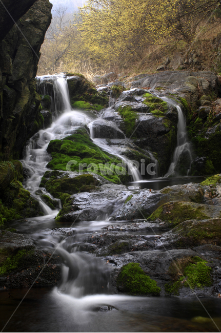 폭포,이끼,식물,산수유화,계곡,자연,풍경,nature,landscape,한국자연풍경,한국자연경관,korea nature landscape,water,물,outdoors,옥외,river,강,waterfall