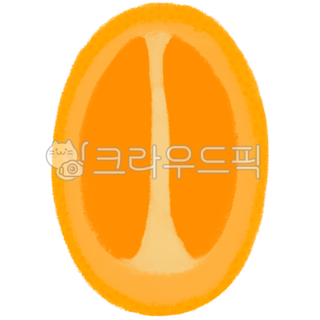 Bbaengkang,bbaengkang illustration,bbaengkang drawing,bbaengkang image,bbaengkang cross section,bbaengkang piece,kumquat,kumquat illustration,kumquat drawing,kumquat image,kumquat cross section,kumquat piece