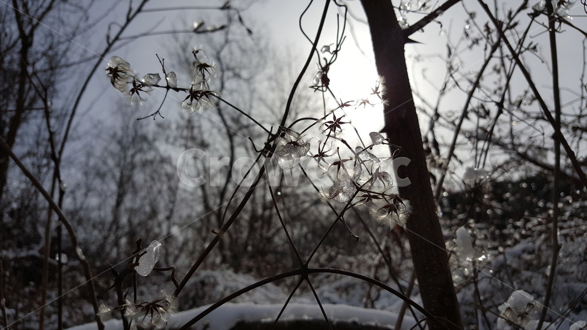 눈,눈내린산,겨울풍경,겨울,얼음,snow,winter,얼음꽃