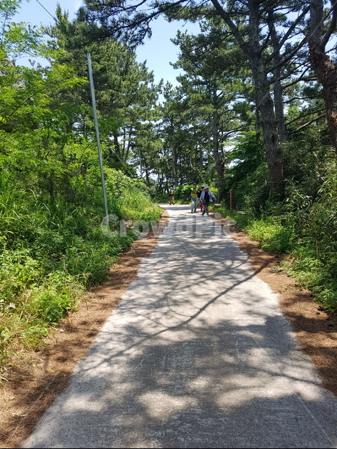 제주,제주도,추자도,여행,바다,올레길,제주도바다,하늘,풍경,자연,힐링,숲,길,구름,섬,나무,자연,풍경,nature,landscape,한국자연풍경,한국자연경관,korea nature landscape,제주도,jeju,jeju island,사람들,대중,군중,other people,crowd,human,인간,person,사람,path,통로,flagstone,판석,outdoors,옥외