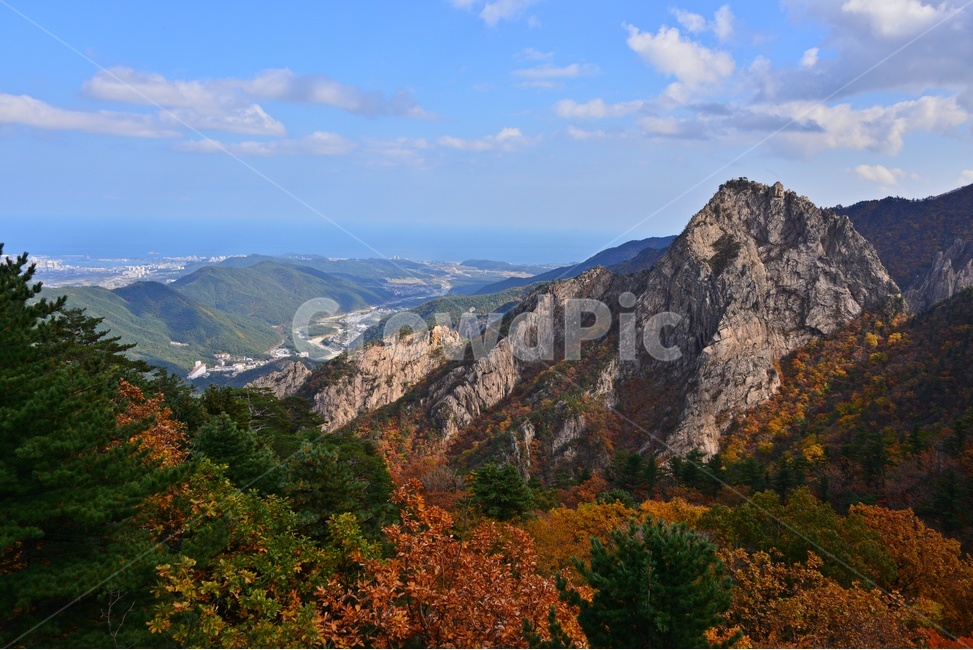 tree,나무,plant,식물,leaf,잎,nature,자연,outdoors,옥외,mountain,산,설악산,비선대,권금성,계곡,설악산가을,추색,만추,국립공원,가을,계절,fall,autumn,season,자연,풍경,nature,landscape