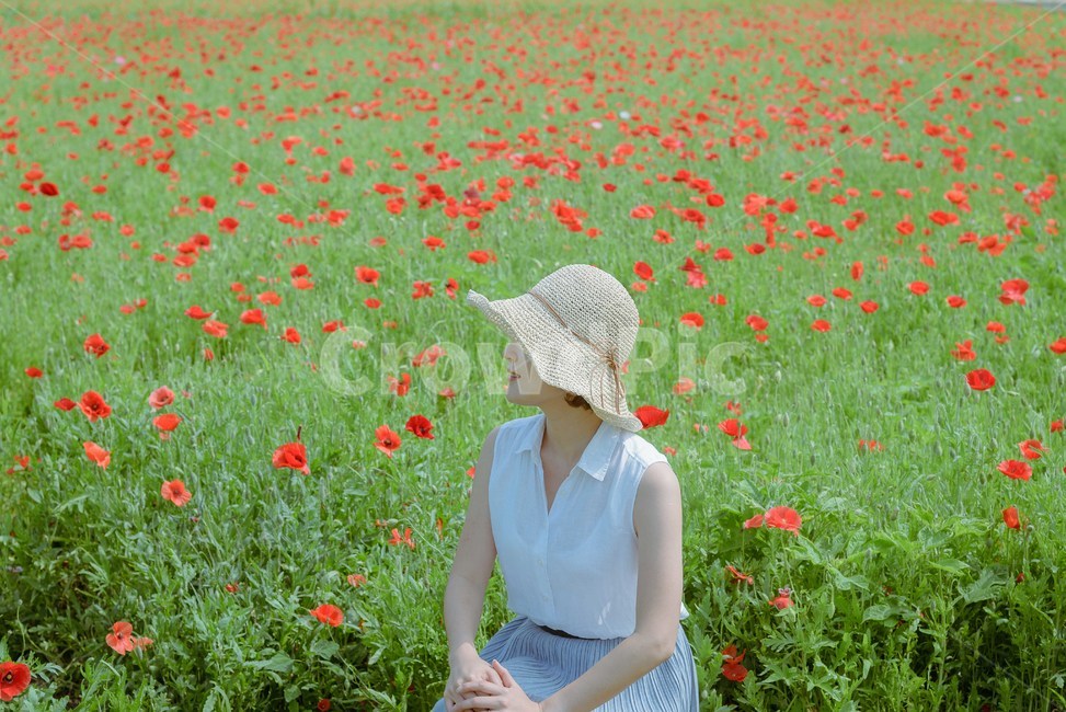 spring flowers,spring fashion,spring picnic,hat,Spring,poppy flower