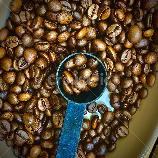coffee,bean,커피,아메리카노,콩,커피,카페,coffee,cafe