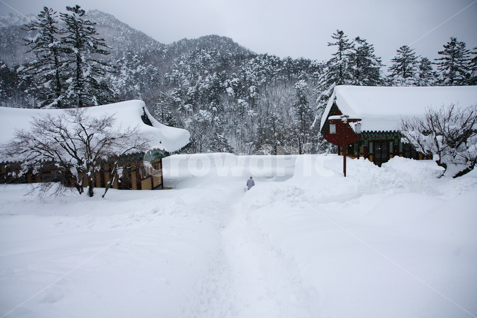 신흥사,사찰,설악산,풍경,국립공원,겨울,계절,winter,season,한국전통,한국문화,korean traditional,korean culture,건축물,건물외관,exterior,building,structure,architecture,construction